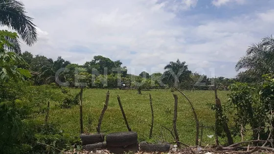Terreno En Venta