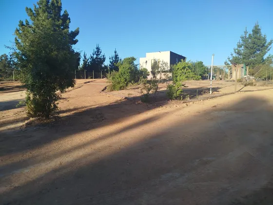 Vendo Parcela Algarrobo 5.000 M2