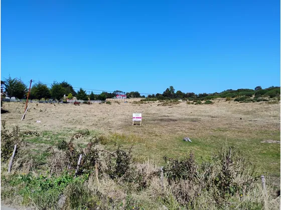 Se Vende Parcela De Media Hectarea En Pupelde.