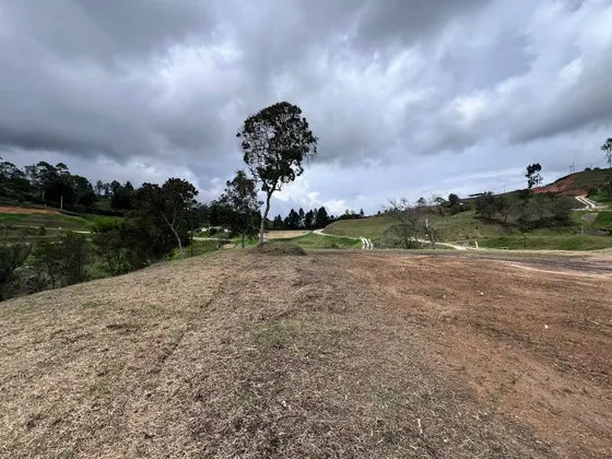 Lote En Venta Ubicado En Rionegro Sector Vereda Mampuesto  (25911).