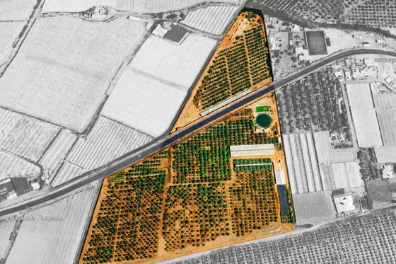 Inversión Inmobiliaria: 6,5 Ha Loteables En Azapa