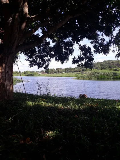 Se Vende Finca En Safari Carabobo Mc