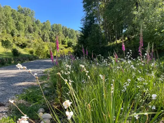 Parcelas En Panguipulli, Frente Al Lago Calafquen