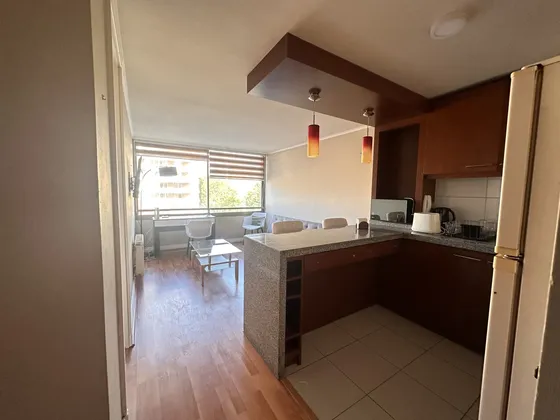 Departamento A Pasos De La Udec