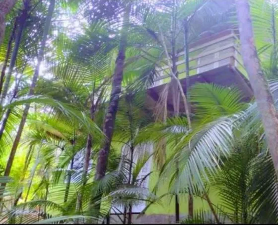 Chácara Em Juquitiba A 50 Min De Sp