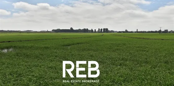 En Venta Campo - Limite Comunas Entre Linares Y Longavi