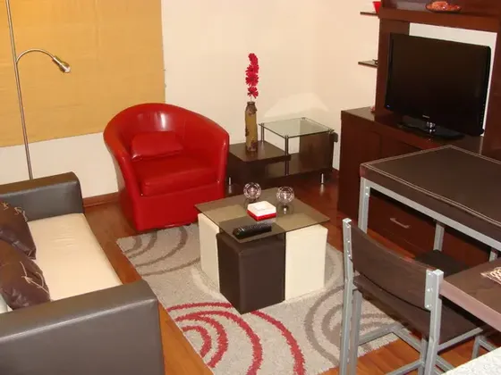 Excelente Departamento Amoblado Bellas Artes