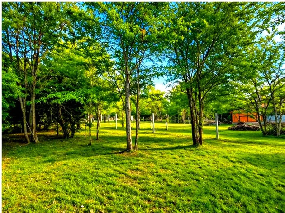 Beautiful Lot for Sale in Villa Gral. Belgrano