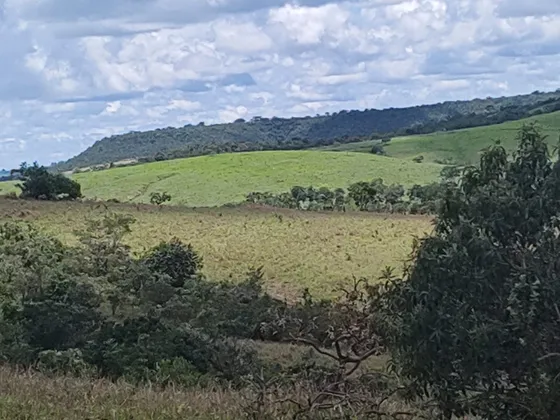 Vendo Fazenda Em Luziânia Na Região De Samabaia.