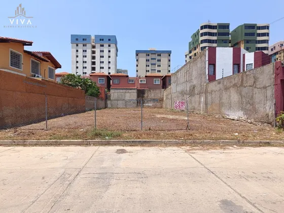 Venta De Terreno Lecheria Urbanización Morro Iii