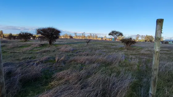 Parcela Trigo Viejo