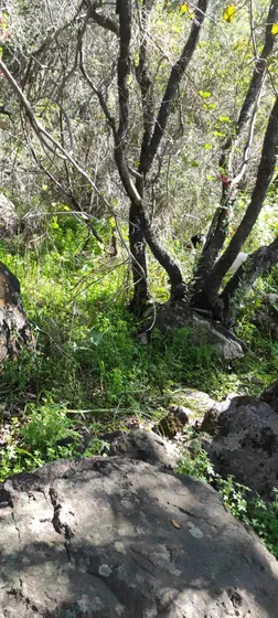Parcela Hacienda El Belloto, Aculeo, Se Vende