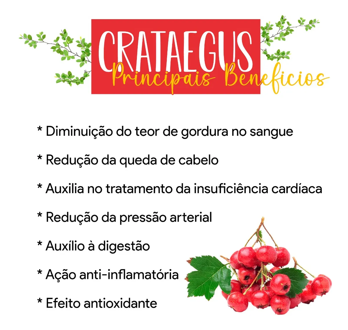 Crataegus Oxyacantha 100% Pura 1 Pote Cápsulas 500mg 