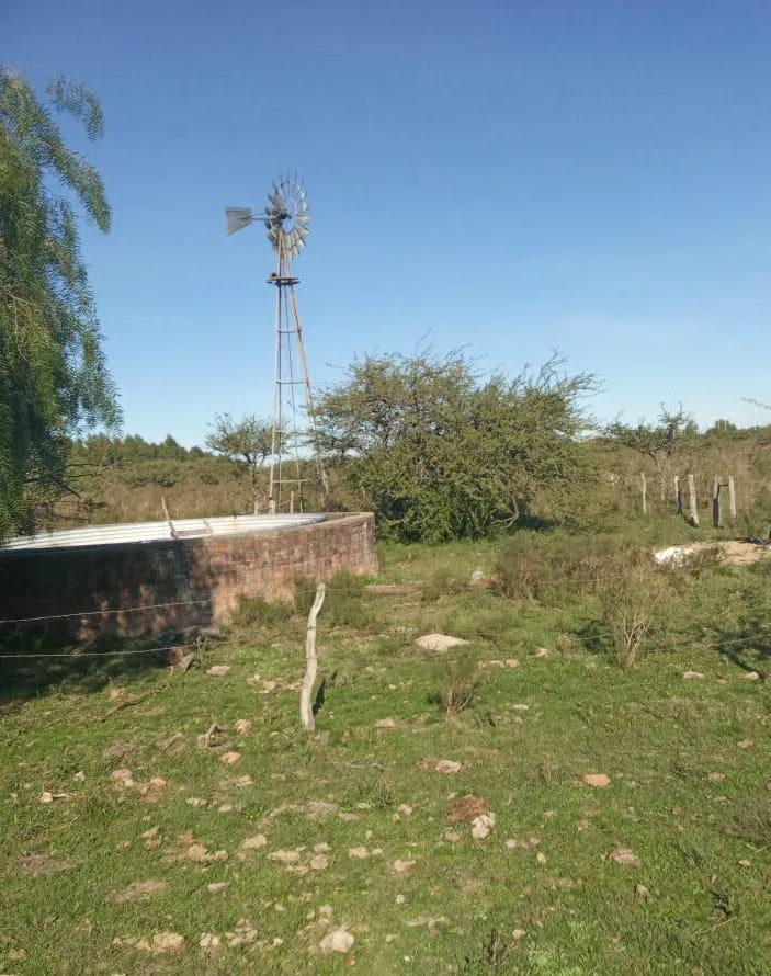 Mixed Farm of 38 Hectares Located on Highway 14, Entre Ríos
