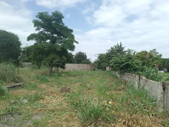Terreno En Yagua Plano Guacara.mg05