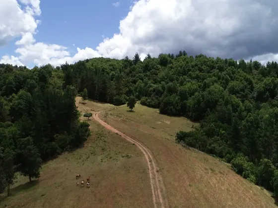 Se Vende Terreno A 30 Km De Nacimiento!!!