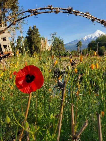 Se Vende Hermosa Casa Domo En Parcela En Puerto Varas