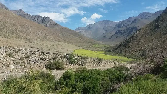 Campo Cordillerano Ganaderas En Venta En Río Hurtado