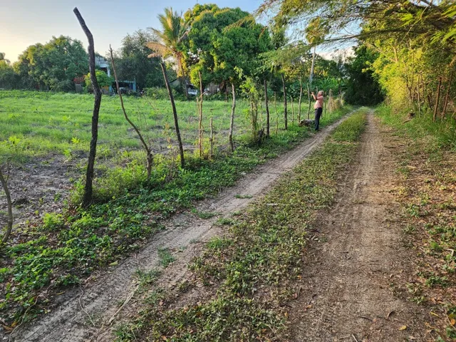 Vendo Terreno De 4,637 Metros2 Deslindado.a 6,500 Pesos El