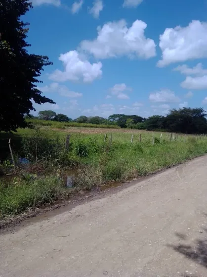 En Venta Finca En Estado Cojedes De 130 Hectáreas