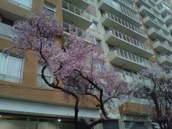 Depto En Venta En Providencia 1dorm 1baño 1estac 1bodega