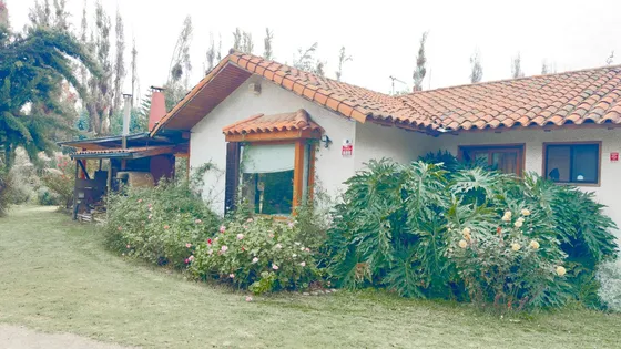 Por Viaje Vende Parcela Frutales Quincho Aire Puro Tranquilo