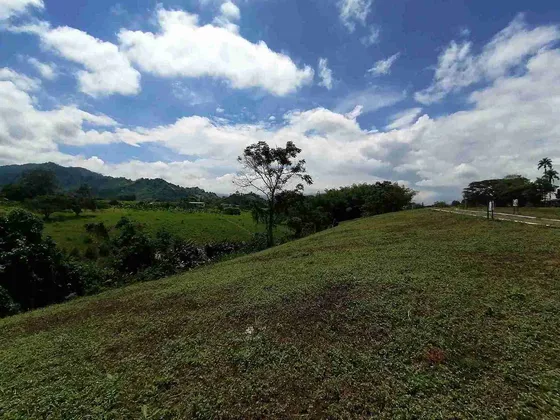 Lote En Venta En Sector Combia/pereira (279060927).
