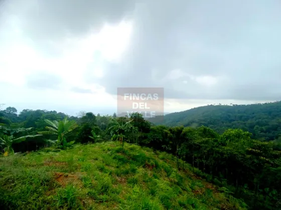La Buitrera, Cali, 82.553 M2, Lote En Venta
