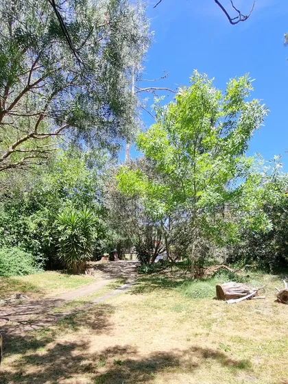 Venta Terreno 1000mtrs En Pinar Norte Con Dos Casitas 