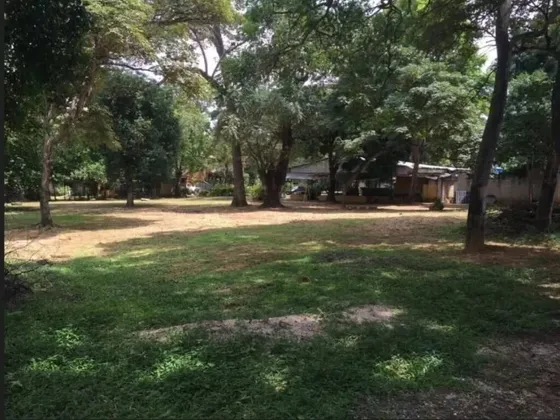 205177 Am* Venta De Terreno En Agua Blanca Valencia