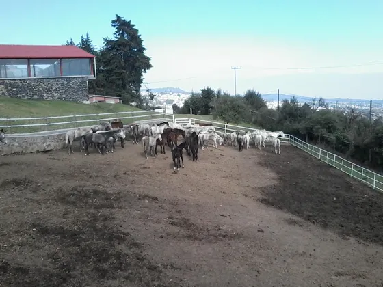 Rancho En  San Miguel Ajusco, Tlalpan