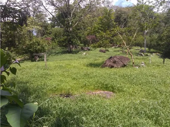 Lote En Venta, San Jerónimo, Antioquia, Colombia.