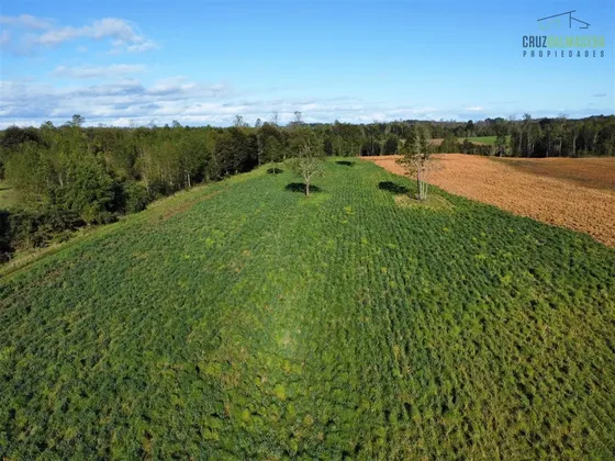 Agrícola En Venta En Cañita, Los Muermos