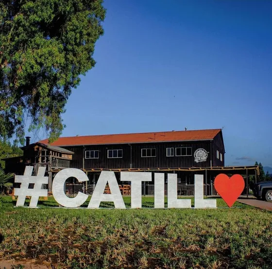 Parcela En Lomas De Catillo A 5 Minutos De Termas De Catillo