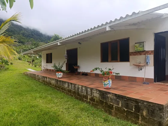 Vendo Finca En San Carlos Antioquia