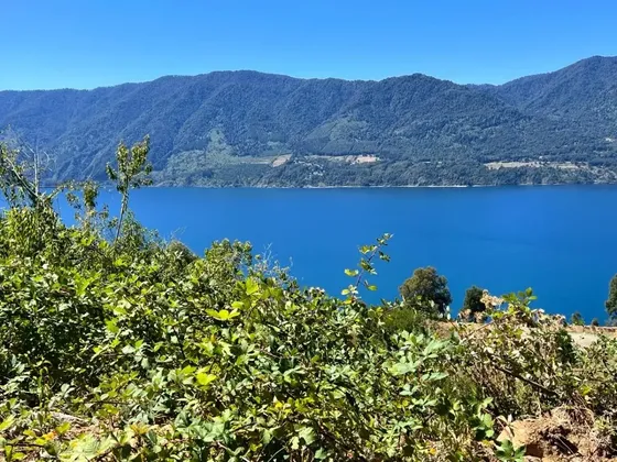 Parcela Con Vista Al Lago Loteo Quebrada Riñihue
