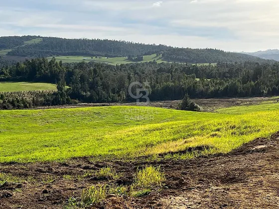 Hermosa Parcela En Planicie.