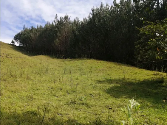 Lote En Venta De 3.590 M2 Por $275.000.000 Chaparral San Vicente
