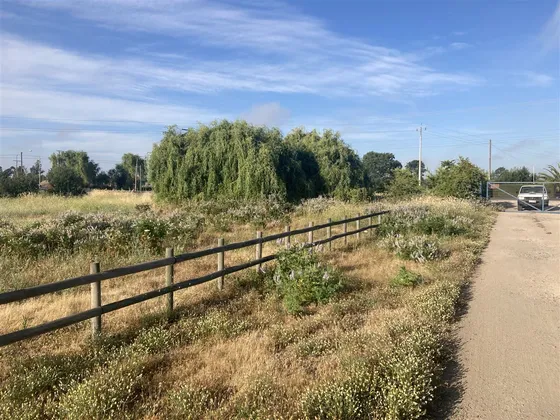 Sitio En Venta En Parral