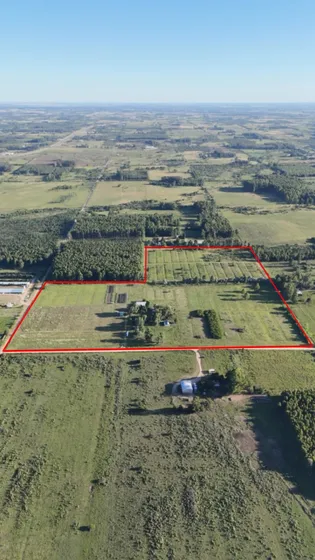 Campo De 21 Hectareas En San Jose Entre Rios