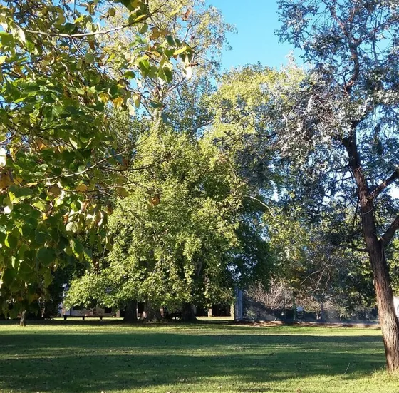 Lote En Venta En Piano Viejo, Alta Gracia