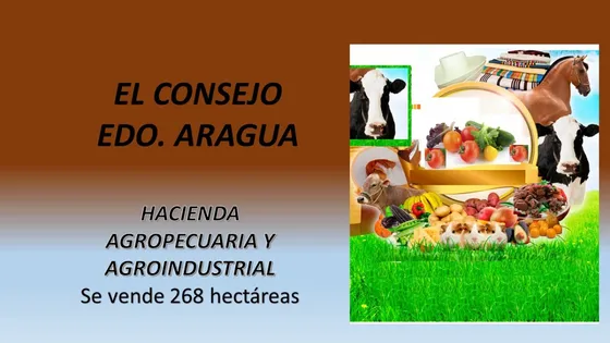 Se Vende  Extraordinaria  Finca Agropecuaria, En Aragua