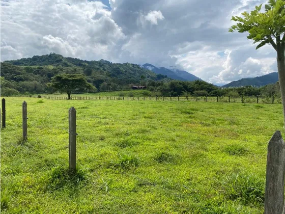Se Vende Finca En Barragán