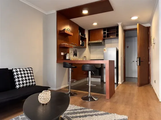 Venta Departamento De 1 Dormitorio, Santiago; M Santa Lucia
