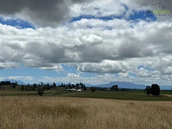 Agrícola En Venta En Puerto Varas