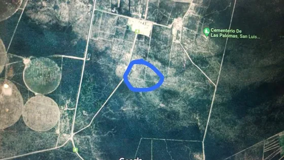 Campo Por Hectarea Con Servicios Sobre Calle Principal De Acceso A La Ciudad, Ideal Granja O Similar