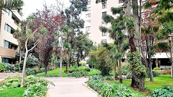 1 Poniente Al Llegar A 12 Norte 1 Dormitorio + Dorm Servicio