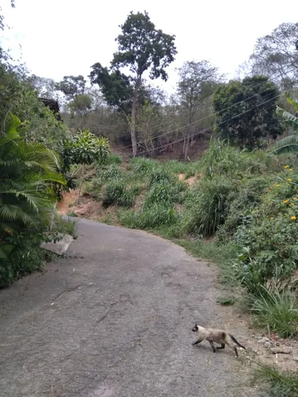 Terreno En Venta El Hatillo. Mg 55