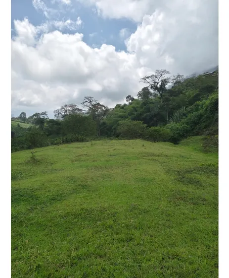 Vendo Finca En La Vereda Naranjal En Fredonia De 3.13 Cuadras