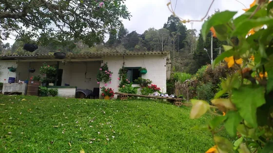 Linda Casa Finca En Venta En La Vereda La Mosquita En Guarne 